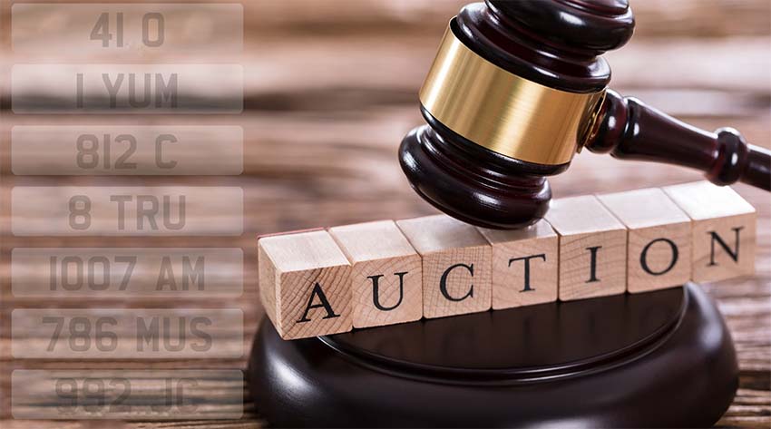 Visit the August/September 2022 DVLA Auction
