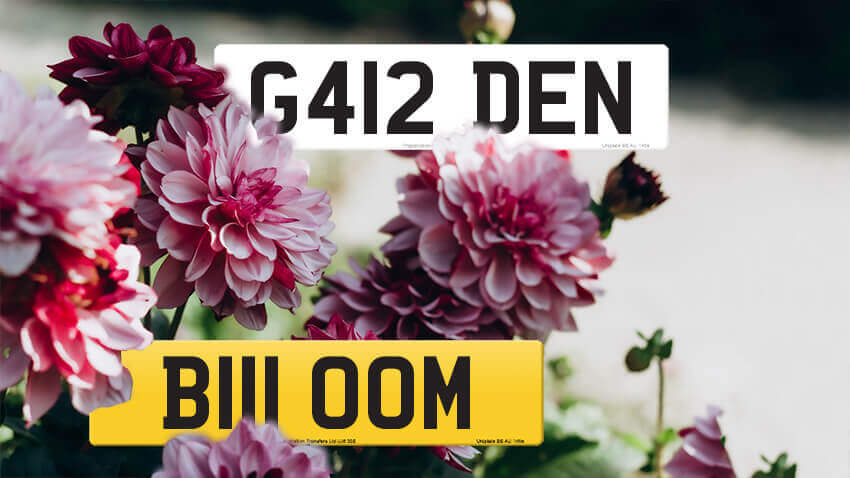 Floral number plates G412 DEN (Garden) and B111 OOM (Bloom)