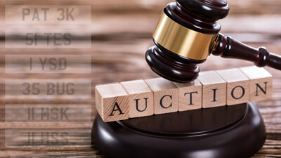 Visit the May 2022 DVLA Auction