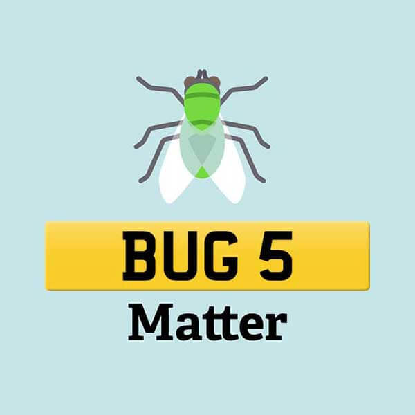 Number plate BUG 5 (Bugs) matter