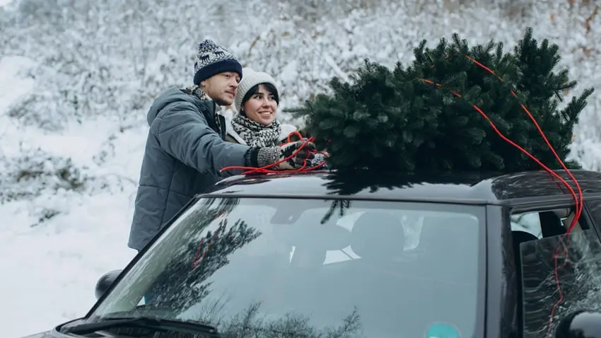 Driving home for Christmas: tips for a stress-free journey