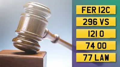 Visit the DVLA Auction report for July 2025