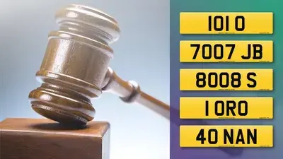 Visit the DVLA Auction report for March 2025