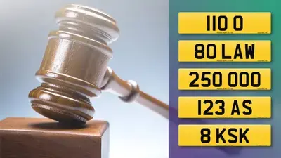 Visit the DVLA Auction report for March 2026