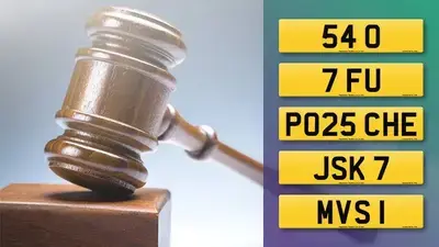 Visit the DVLA Auction report for May 2025
