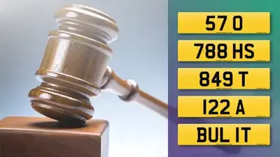 Visit the DVLA Auction report for May 2026