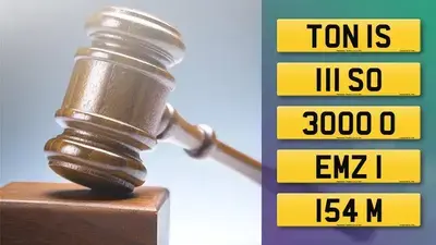 Visit the DVLA Auction report for November 2025